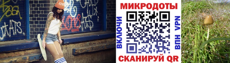 Псилоцибиновые грибы Magic Shrooms  Купить  Каменногорск 